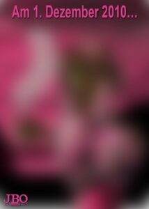 Countdown: 26.11.2010